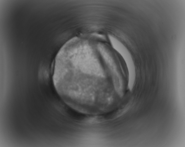 X0000088450072200706191318
