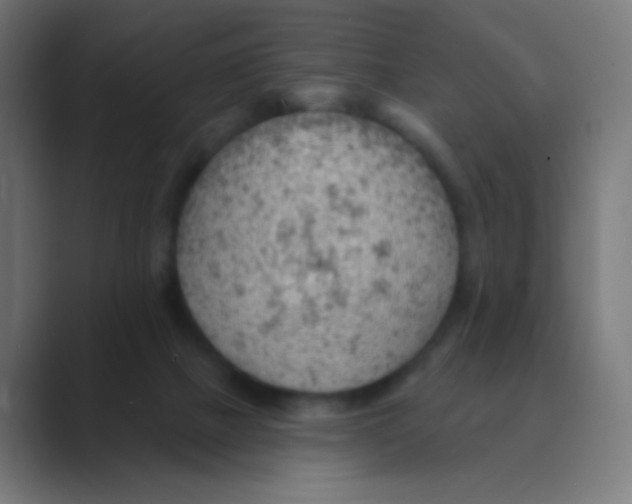 X0000088450073200706191319