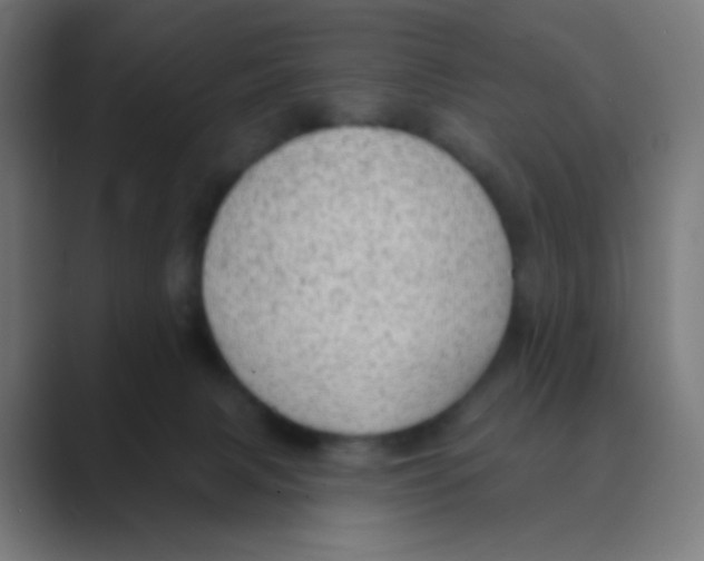 X0000088450079200706191319