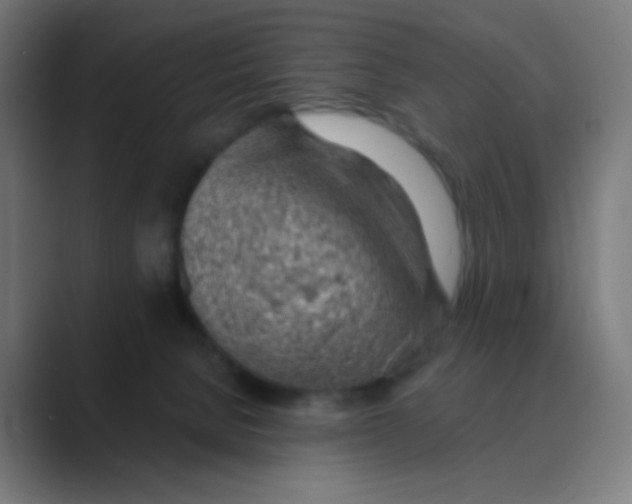X0000088450080200706191319