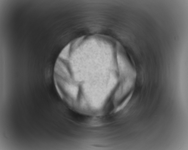 X0000088450082200706191319