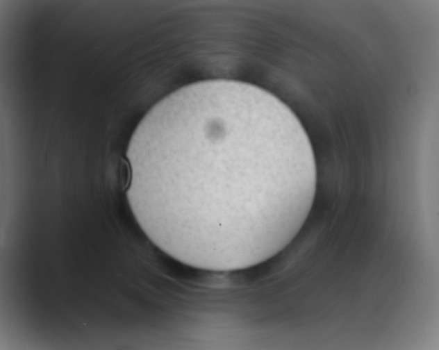 X0000088450083200706191319