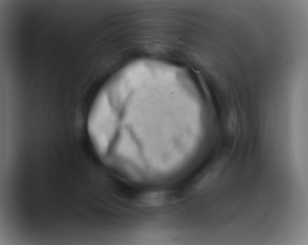 X0000088450084200706191319