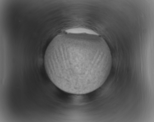 X0000088450085200706191319