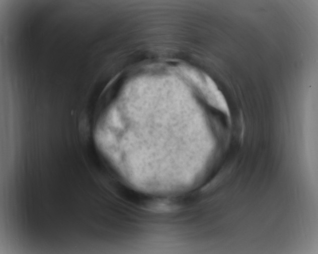 X0000088450086200706191319