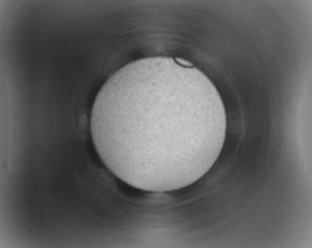X0000088450087200706191319