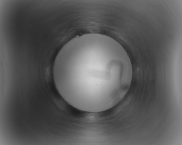 X0000088450088200706191319