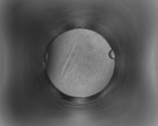 X0000088450089200706191319