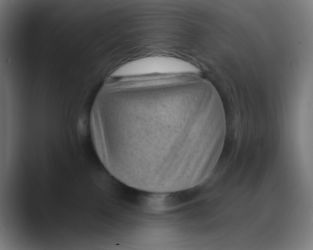 X0000088450090200706191319