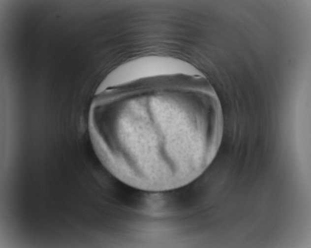 X0000088450091200706191319