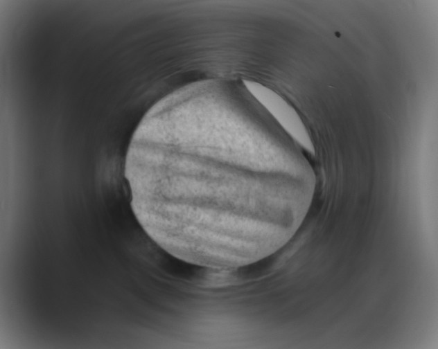 X0000088450093200706191319