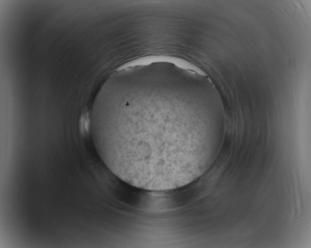 X0000088450095200706191319