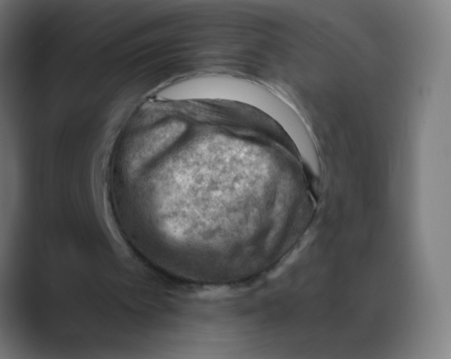 X0000088450097200706191318