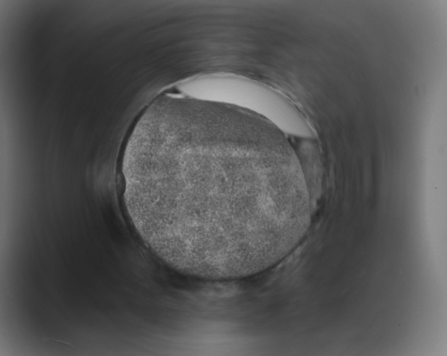 X0000088450099200706191318