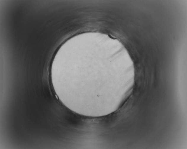 X0000088450100200706191318