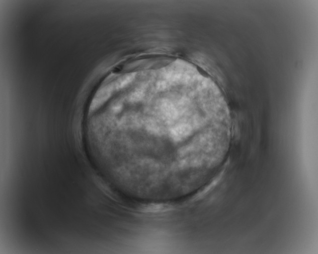 X0000088450101200706191318