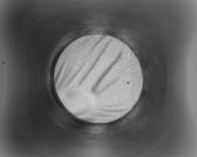 X0000088450102200706191318