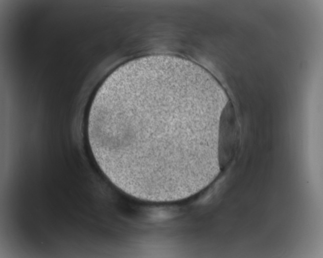 X0000088450103200706191318