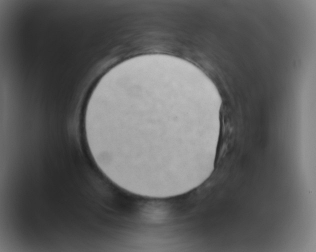 X0000088450104200706191318