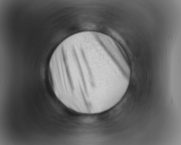 X0000088450106200706191318