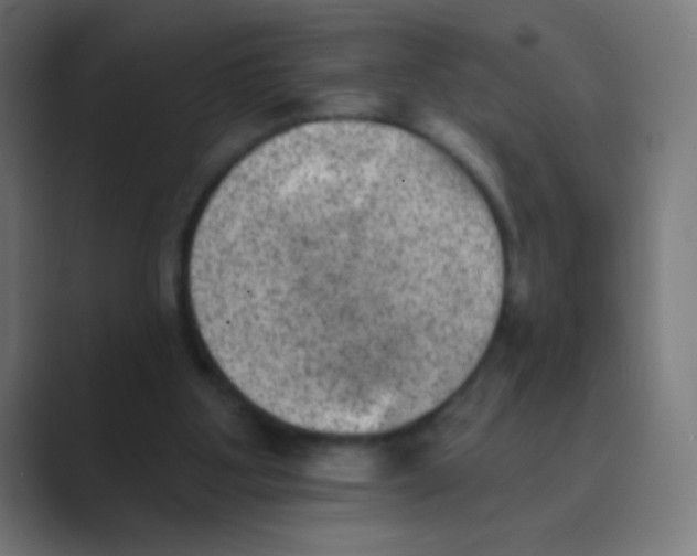 X0000088450107200706191318