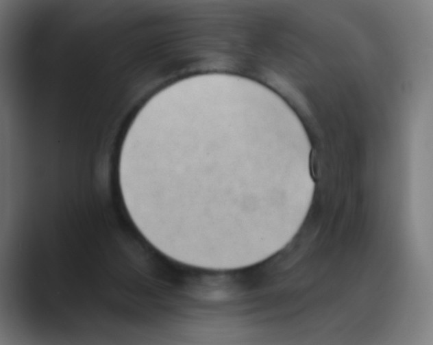 X0000088450108200706191318