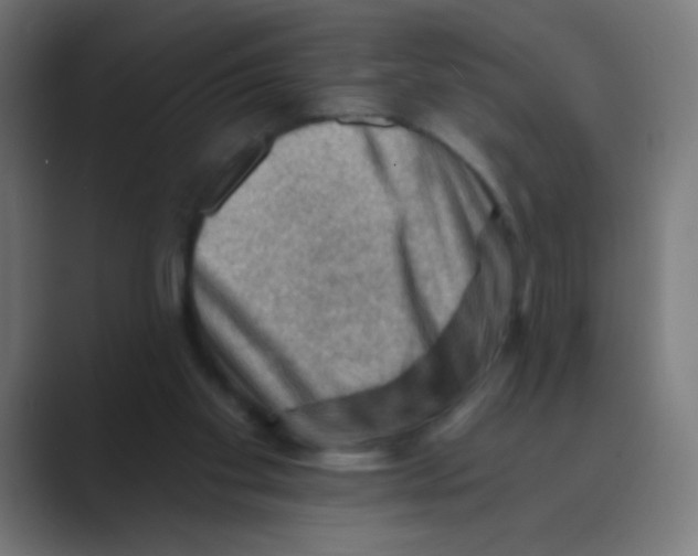 X0000088450109200706191318