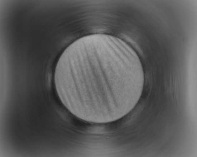 X0000088450110200706191318