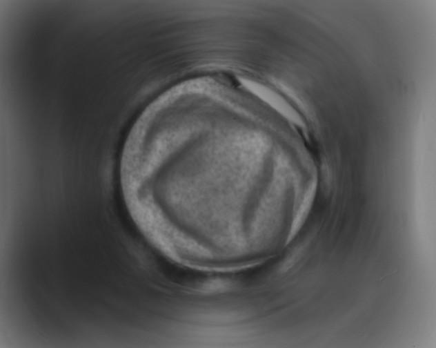 X0000088450111200706191318