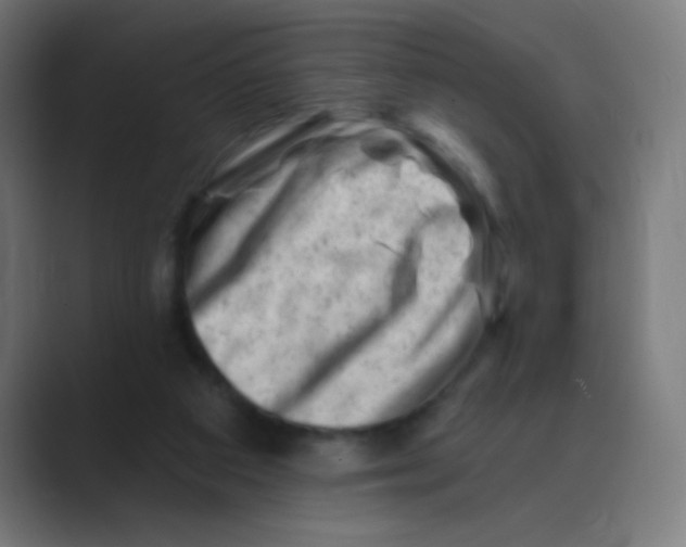 X0000088450113200706191318