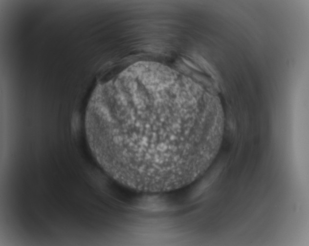 X0000088450117200706191318