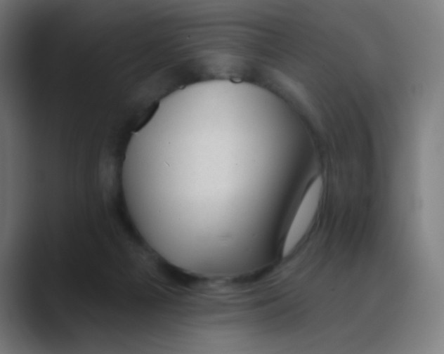 X0000088450121200706191318