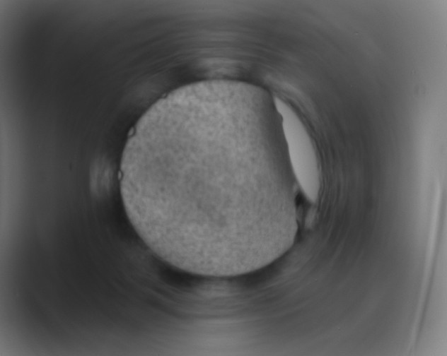 X0000088450123200706191318