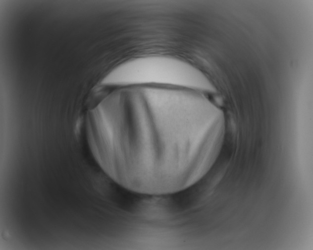 X0000088450125200706191318