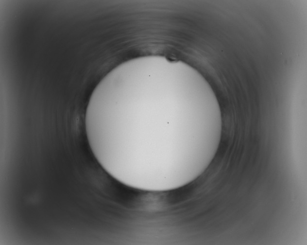 X0000088450126200706191318