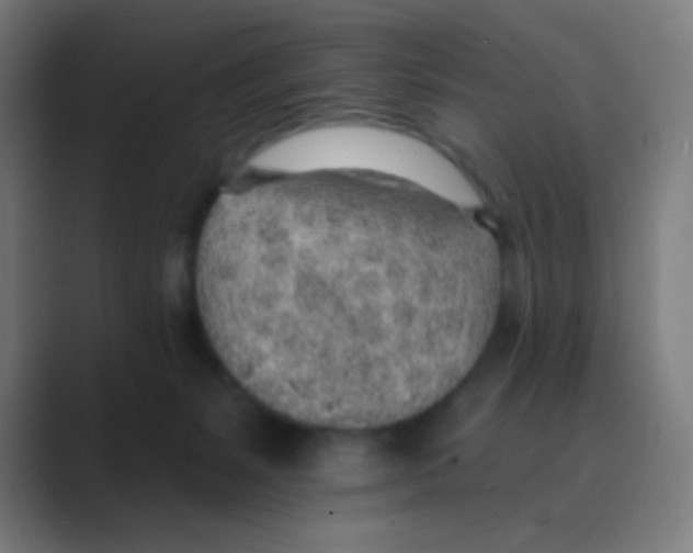 X0000088450127200706191318