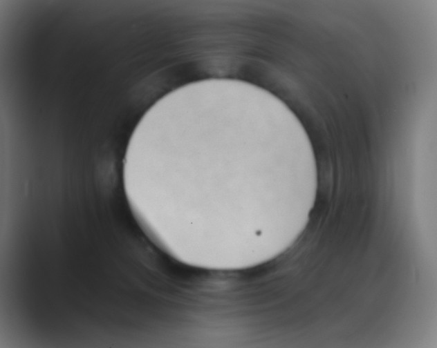 X0000088450128200706191318