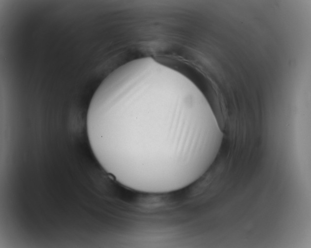 X0000088450129200706191318