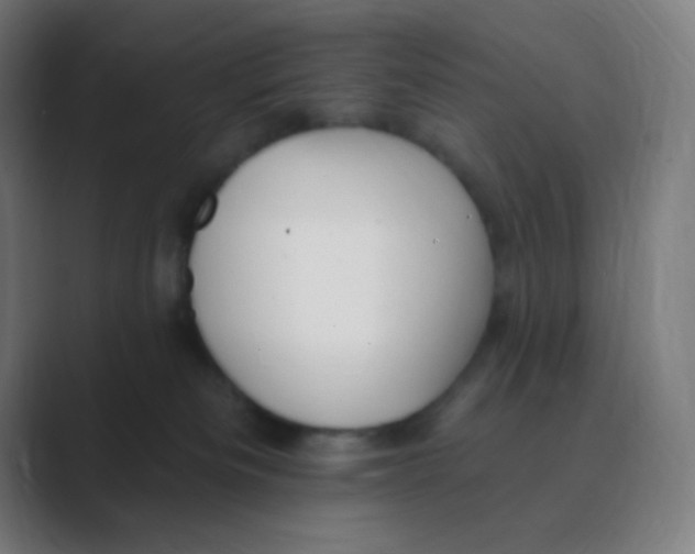 X0000088450133200706191318