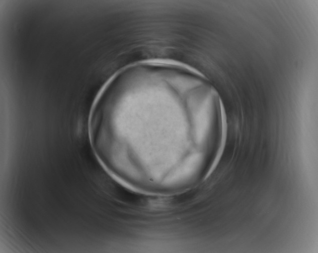 X0000088450134200706191318
