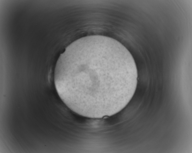 X0000088450135200706191318