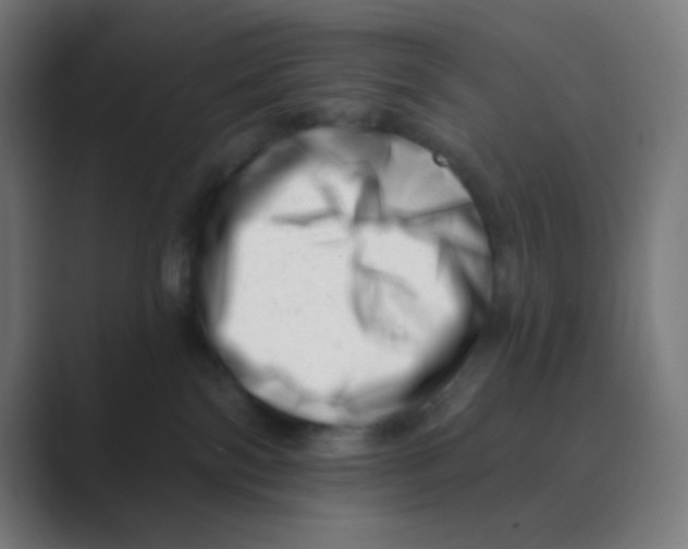 X0000088450138200706191318