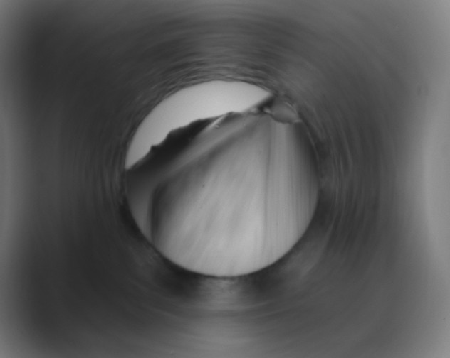 X0000088450139200706191318