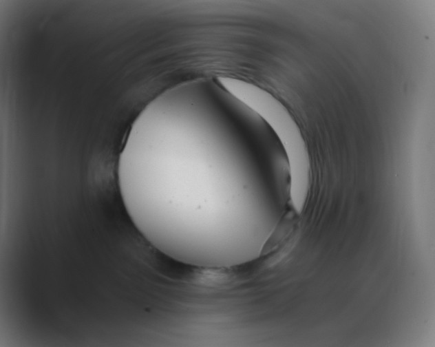 X0000088450141200706191318