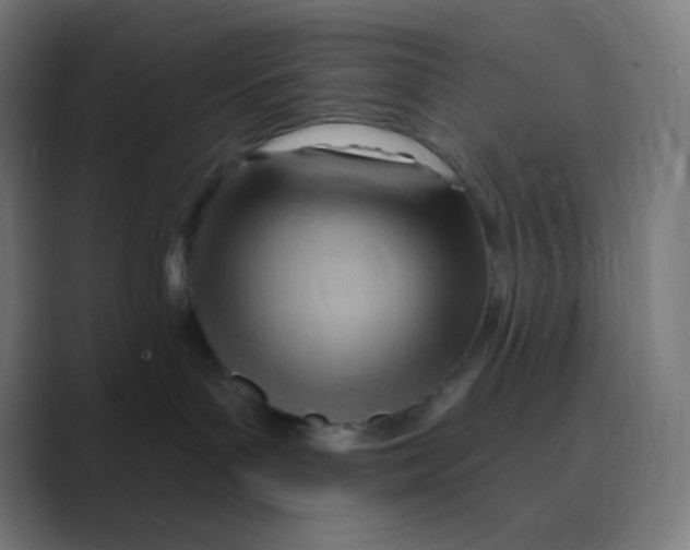 X0000088450143200706191318