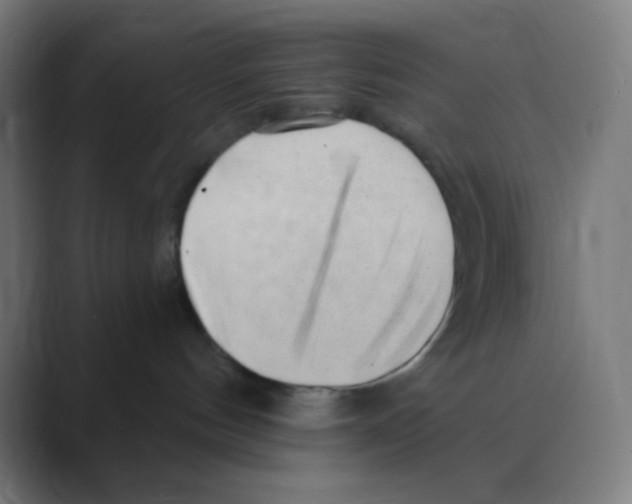 X0000088450144200706191318