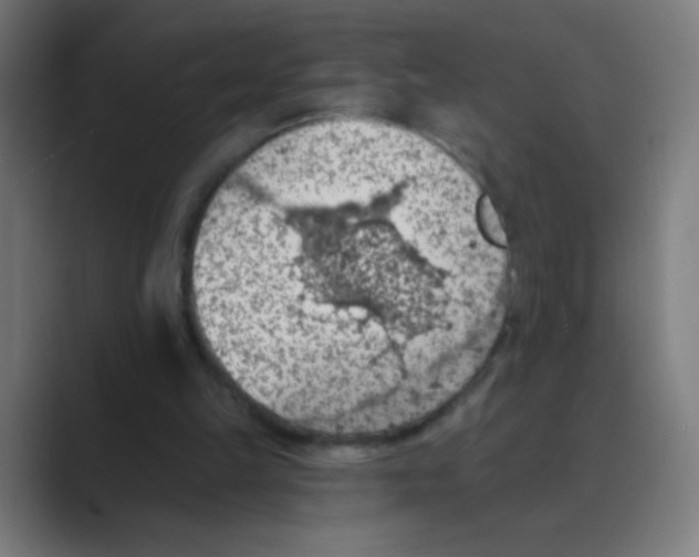 X0000088450149200706191317