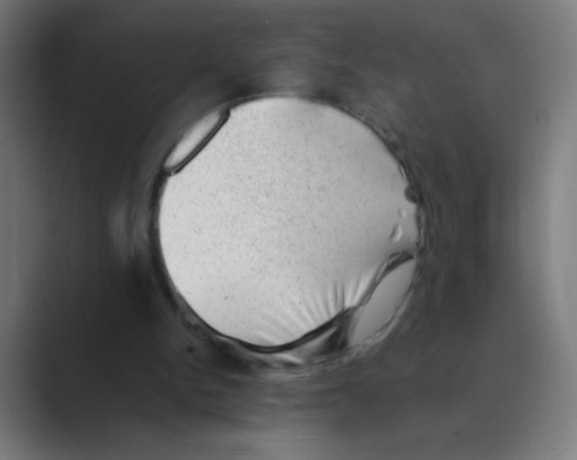 X0000088450150200706191317