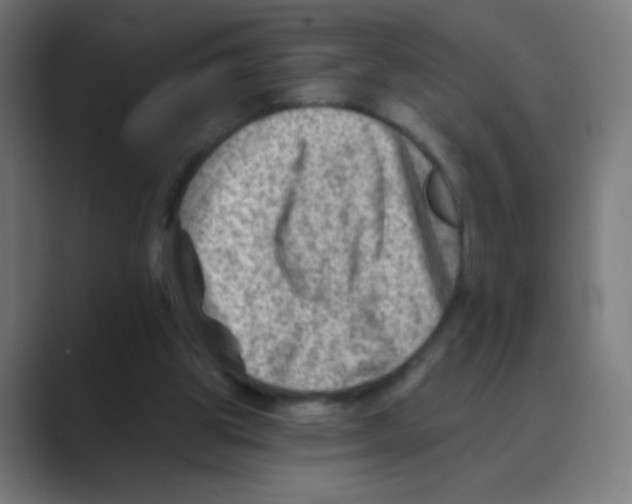 X0000088450153200706191317