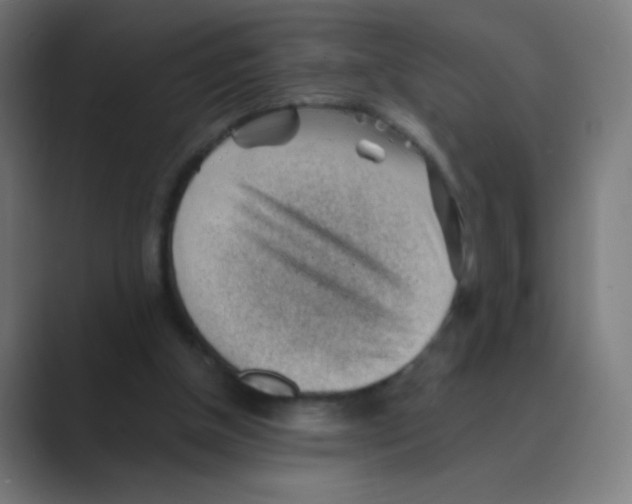 X0000088450154200706191317